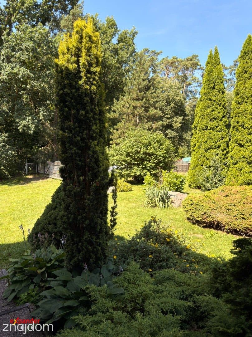 Dom przy lesie | 2728 m² zieleni | Brachlewo | 950 m jezioro - zdjęcie 25