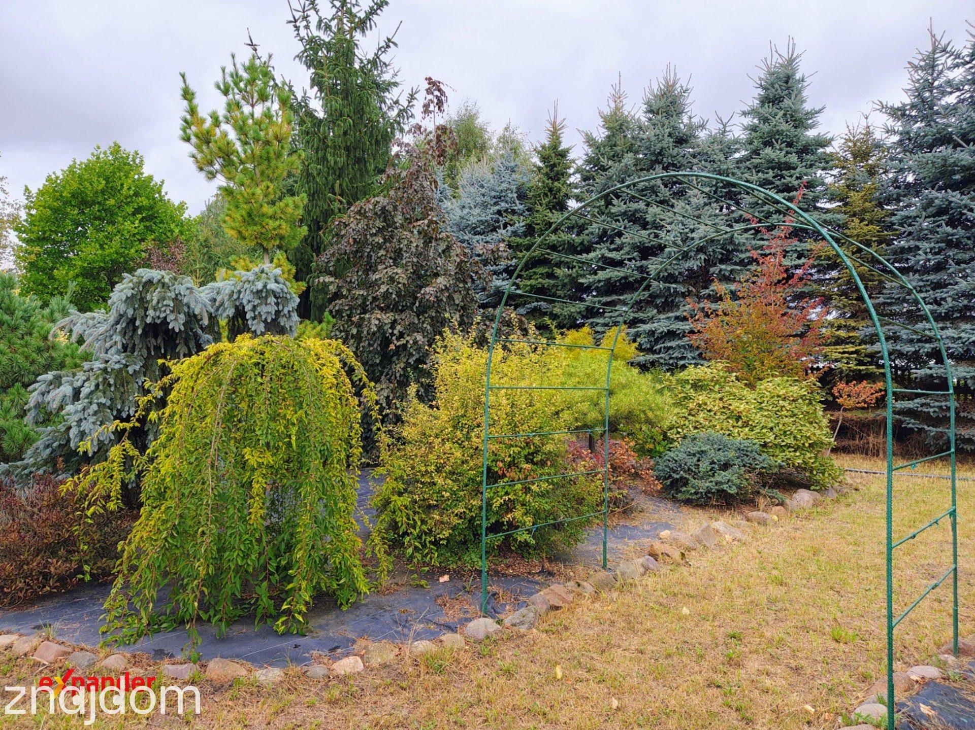 Prywatna oaza 6940 m² | Dom | Ogród | 2 zbiorniki wodne | Radostków - zdjęcie 18