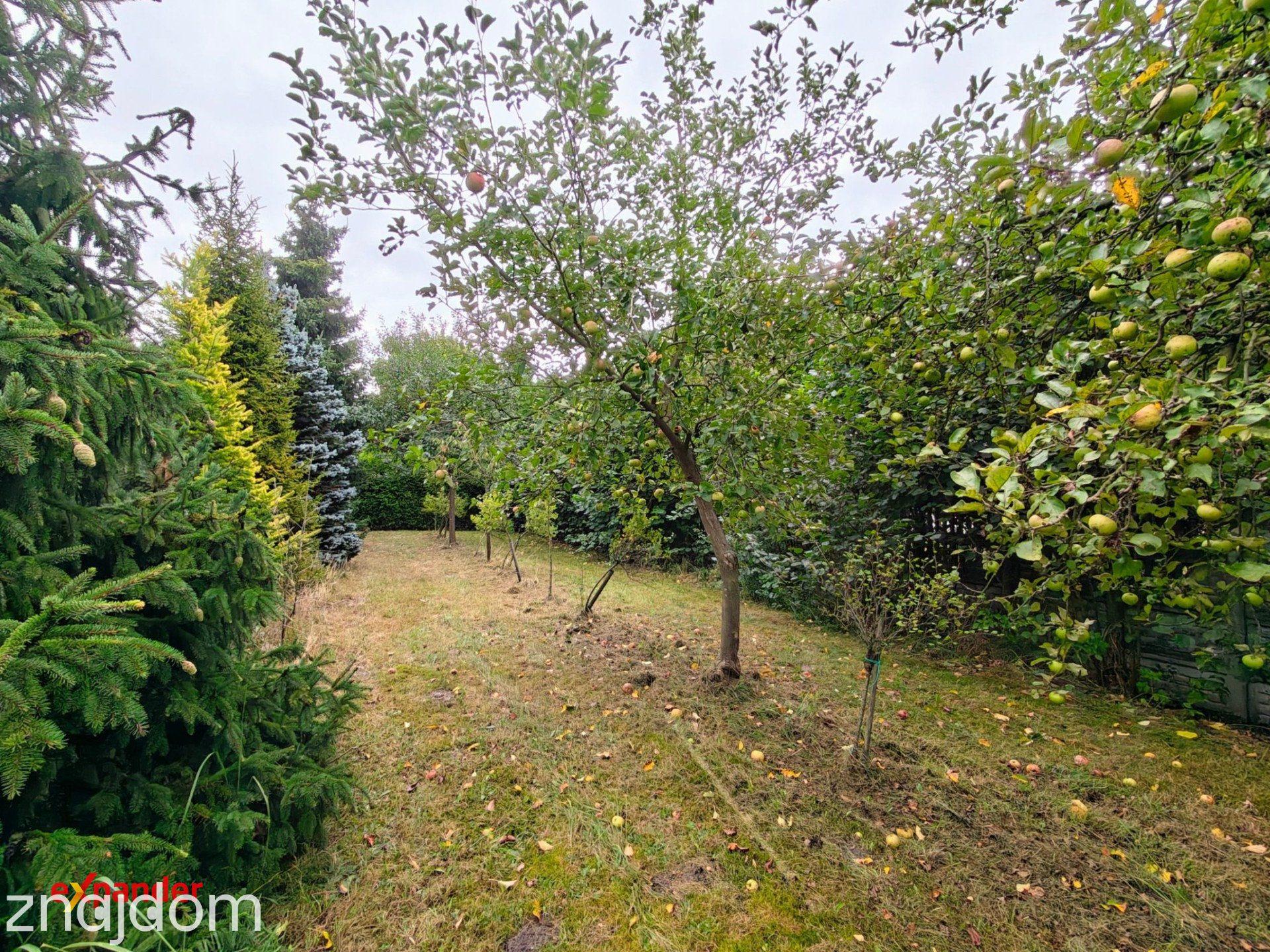 Prywatna oaza 6940 m² | Dom | Ogród | 2 zbiorniki wodne | Radostków - zdjęcie 21