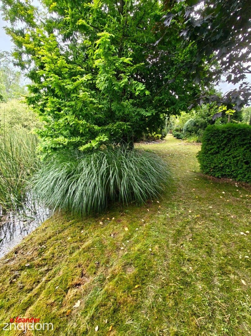 Prywatna oaza 6940 m² | Dom | Ogród | 2 zbiorniki wodne | Radostków - zdjęcie 25