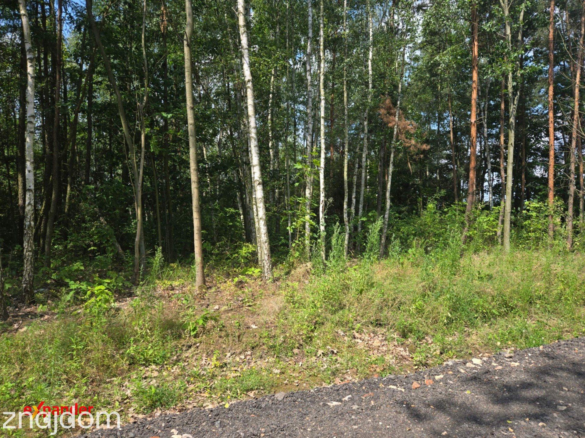 12 działek 1km od szkoły w Wierzchowisku - zdjęcie 2