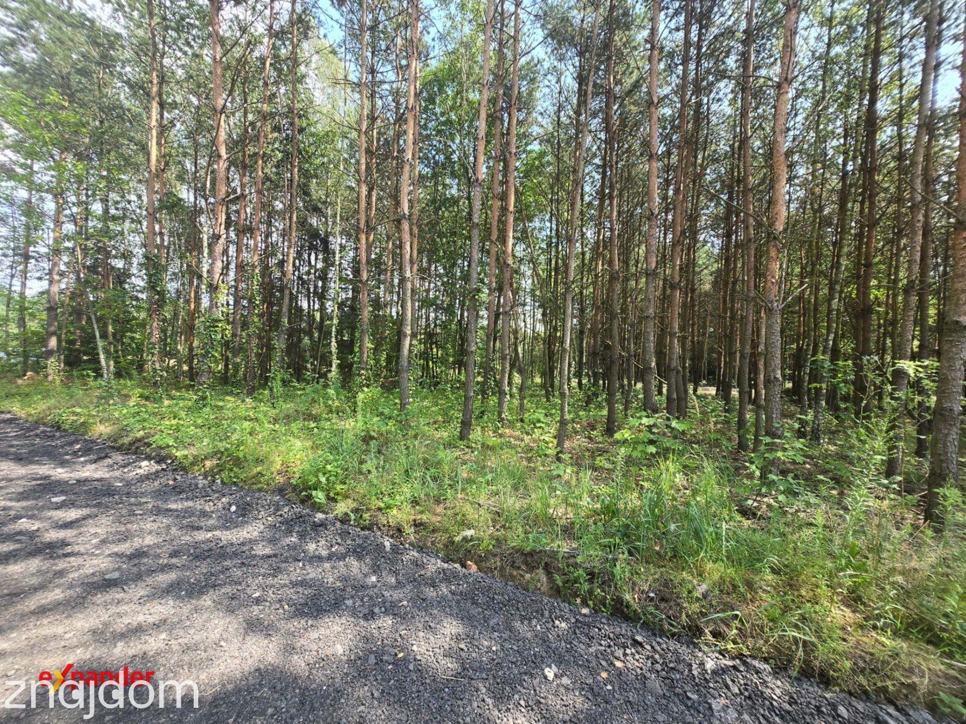 12 działek 1km od szkoły w Wierzchowisku - zdjęcie 5