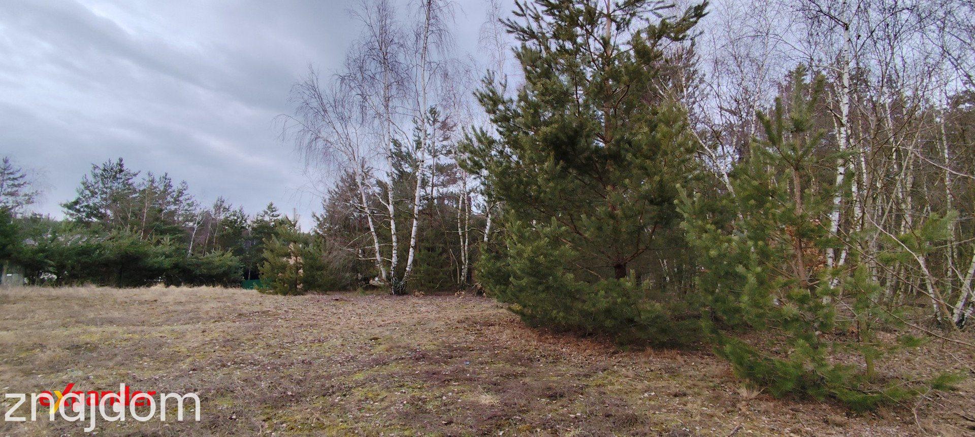 Dom willa do skończenia nad jeziorem Anastazewo duża działka spokojna okolica - zdjęcie 9