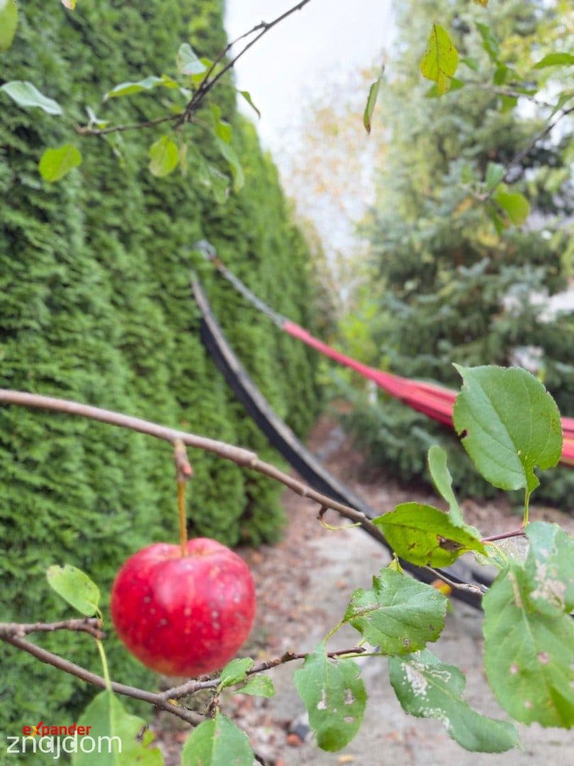Dom | pełne wyposażenie | rozwiązania premium | + drugi dom - zdjęcie 22