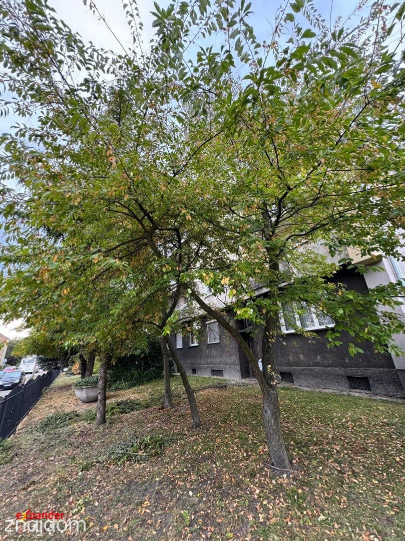 2-pokojowe mieszkanie z balkonem | ul. Piotrkowska | Częstochowa - zdjęcie 12