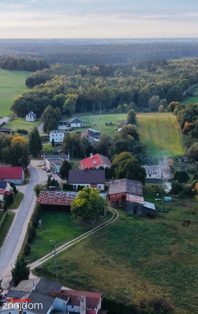 Siedlisko | Dom, zabudowania gospodarcze i 3 ha ziemi | Sypanica - zdjęcie 5