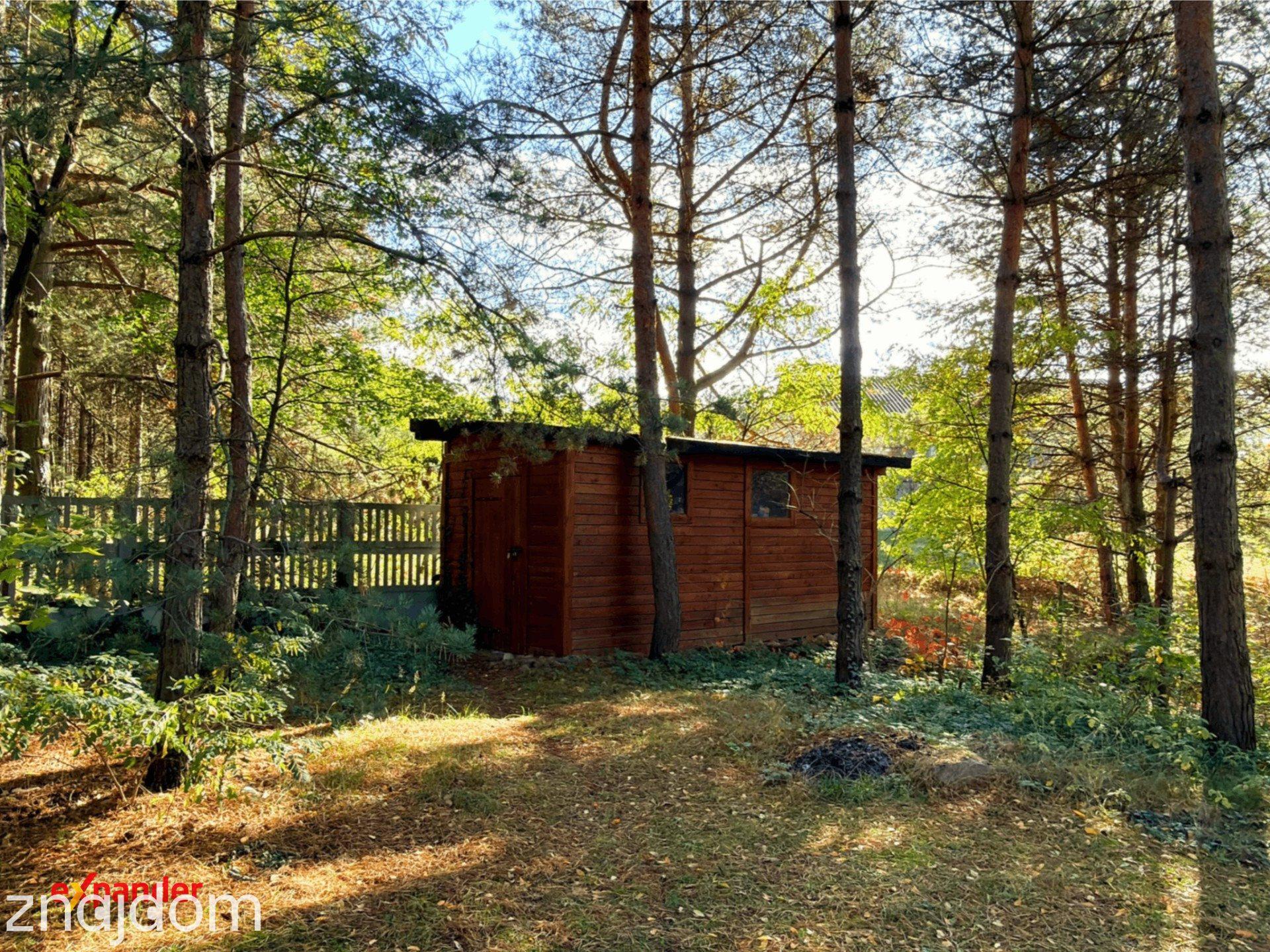 Dom 160 m² wśród lasów | Pompa ciepła + piec | Działka 1950 m² - zdjęcie 3