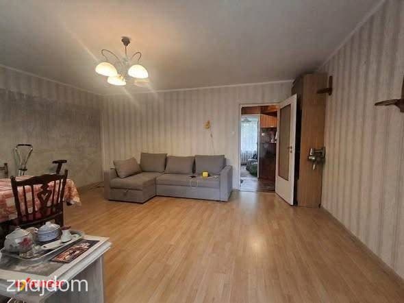 3-pokojowe mieszkanie na parterze / 59,9 m² / ul. Kaszubska , Siedlce - zdjęcie 5