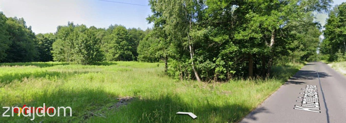 Działka rolno-budowlana Dąbrowa Górnicza otulona lasem.