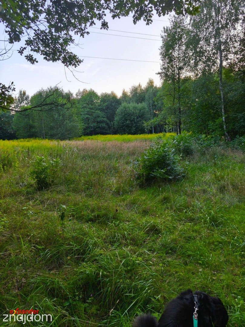 Działka rolno-budowlana Dąbrowa Górnicza otulona lasem. - zdjęcie 6