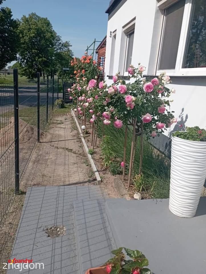 Dom z fotowoltaiką i ogrodem Szydłowo, cicha okolica - zdjęcie 3