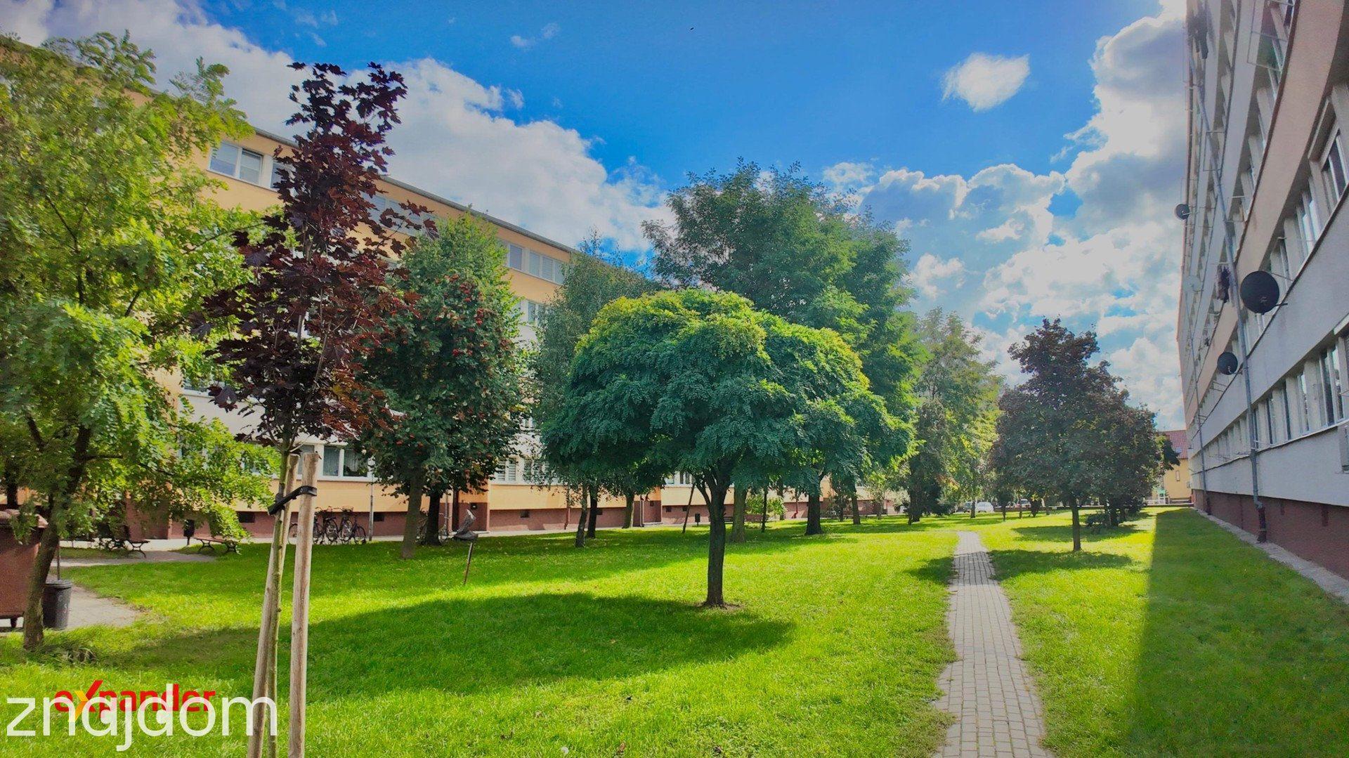 3 pokoje | PO GENERALNYM REMONCIE | 53,1 M² | gotowe do zamieszkania - zdjęcie 10