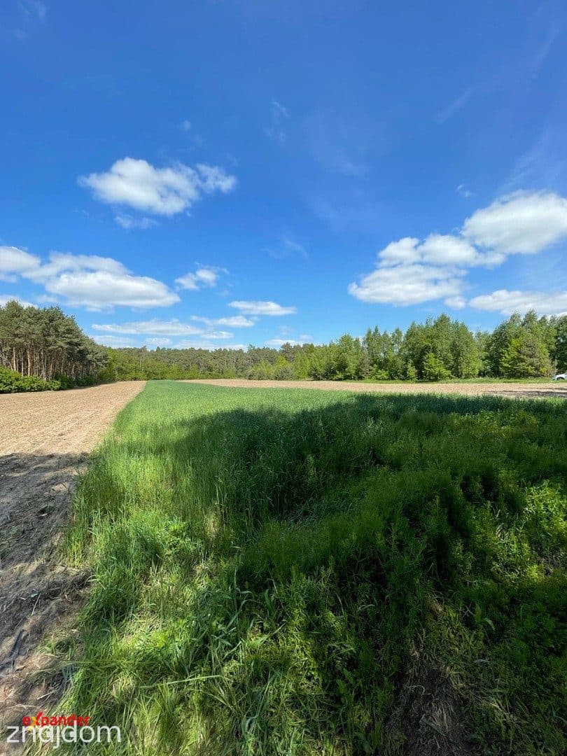 Działka rolna w Szałe k. Kalisza – cisza i natura.