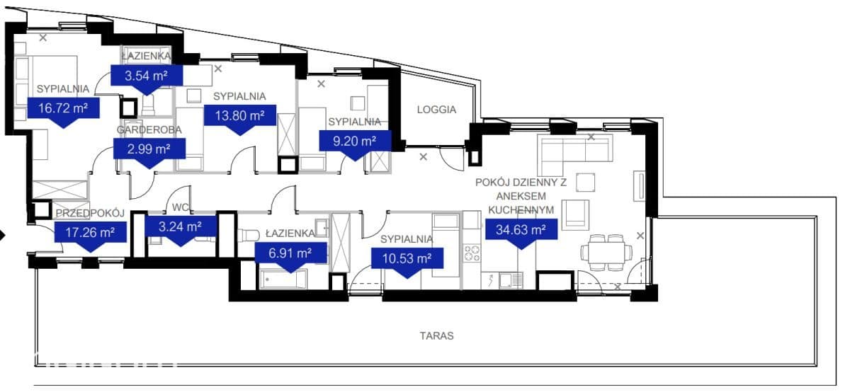 5 pokoi + taras i loggia w centrum Poznania, 0% - zdjęcie 2