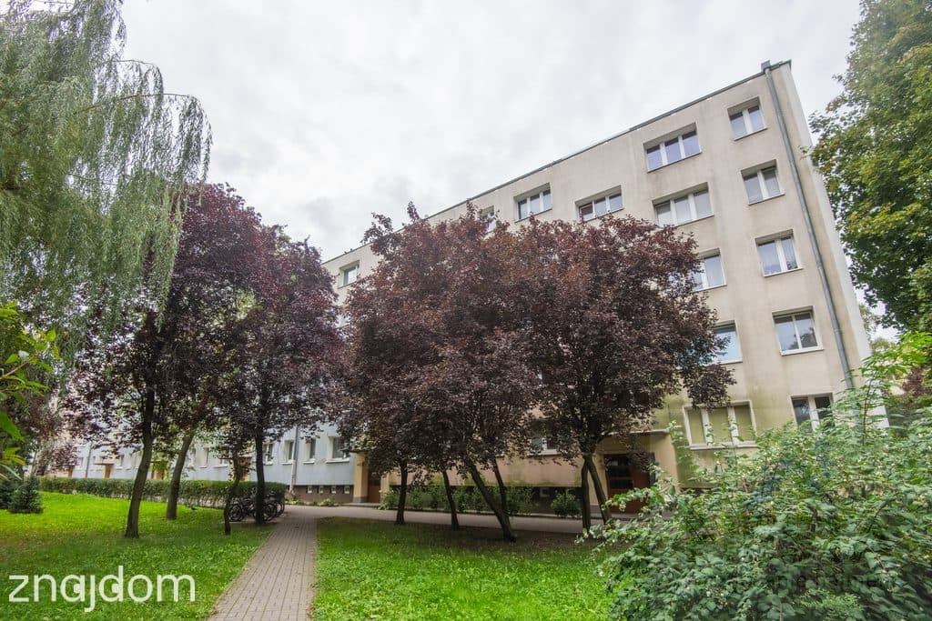 Rataje | 3 pokoje | balkon | piwnica - zdjęcie 14