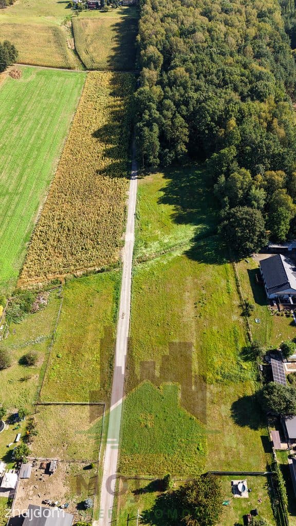 Działka budowlana z własnym lasem | Bełk. - zdjęcie 6