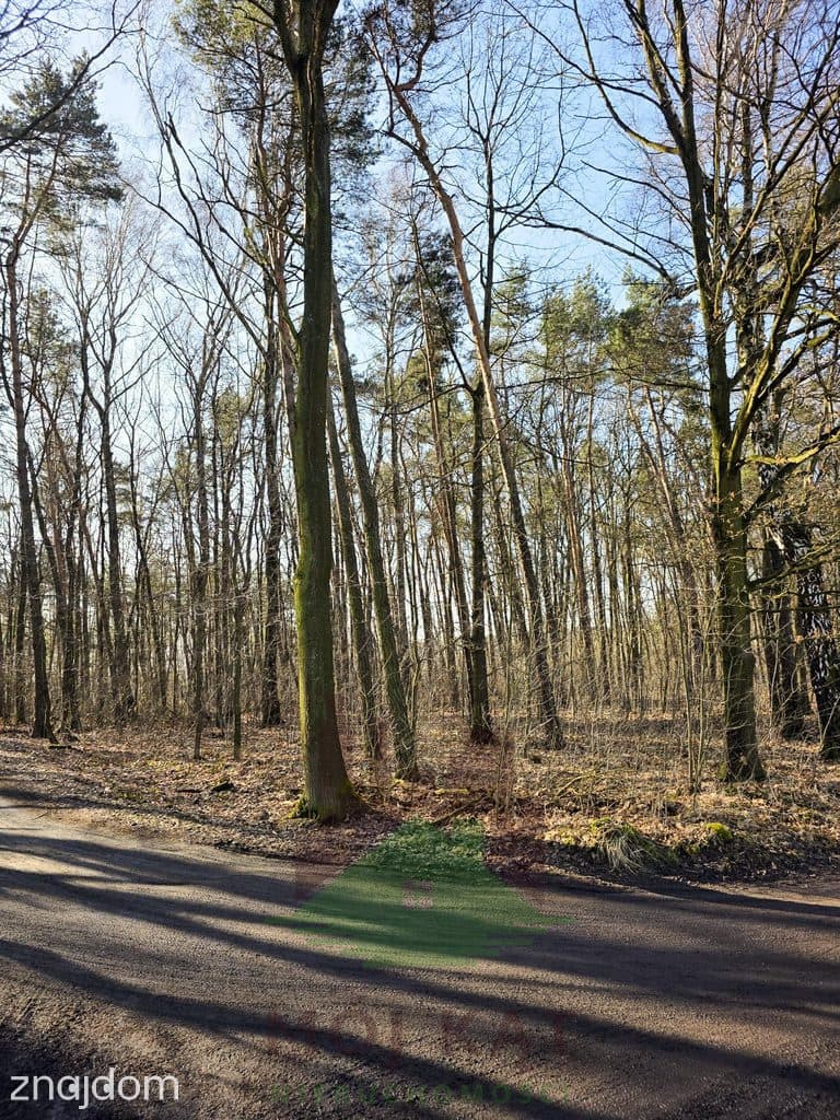 Działka budowlana z własnym lasem | Bełk. - zdjęcie 5