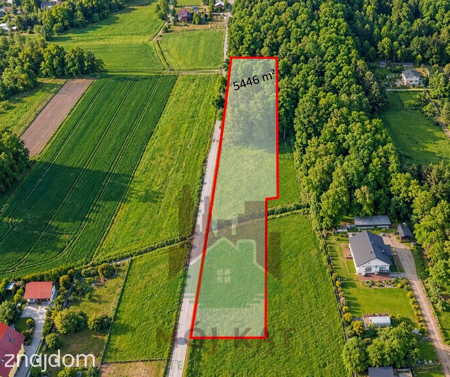 Działka budowlana z własnym lasem | Bełk.