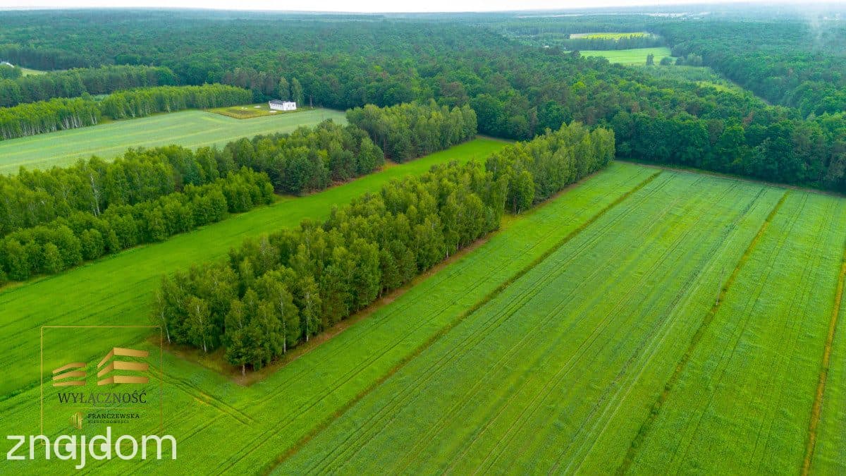 Działki budowlane w świetnej lokalizacji - zdjęcie 8