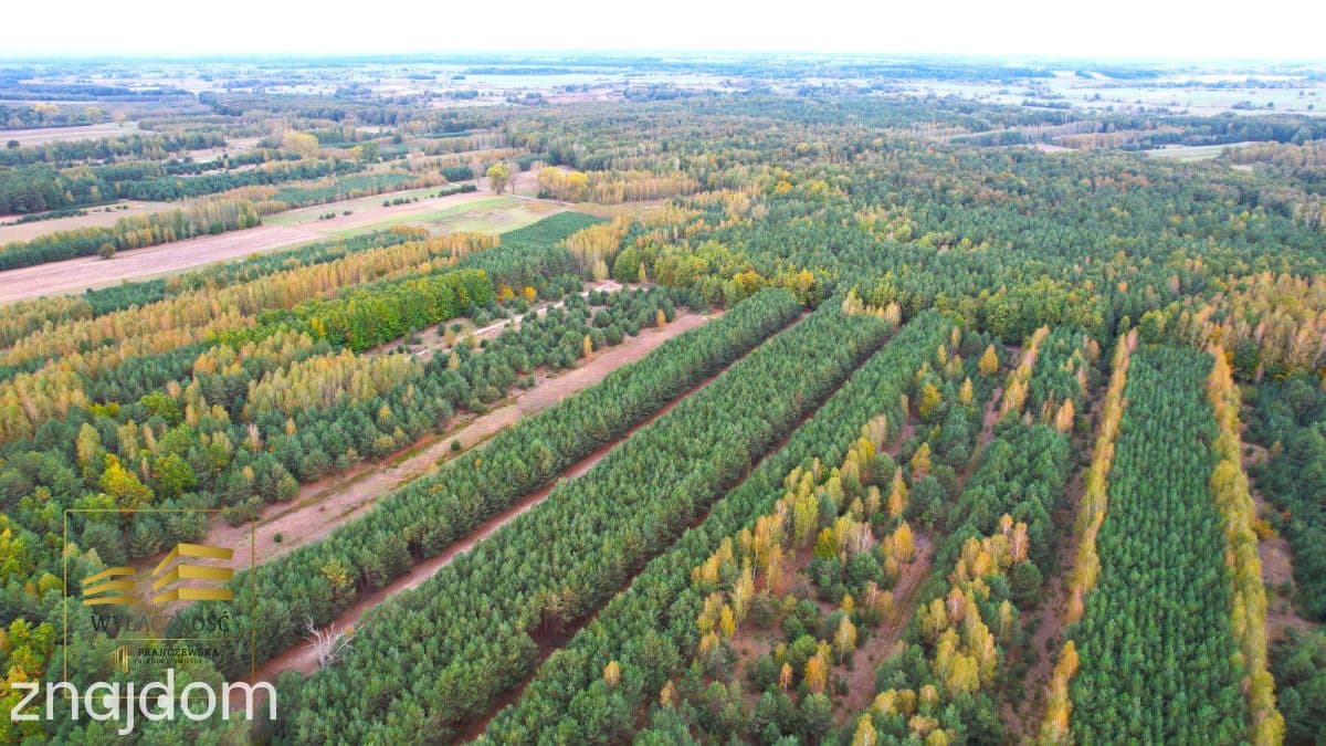 Zalesiona działka nad Firlejem - zdjęcie 4