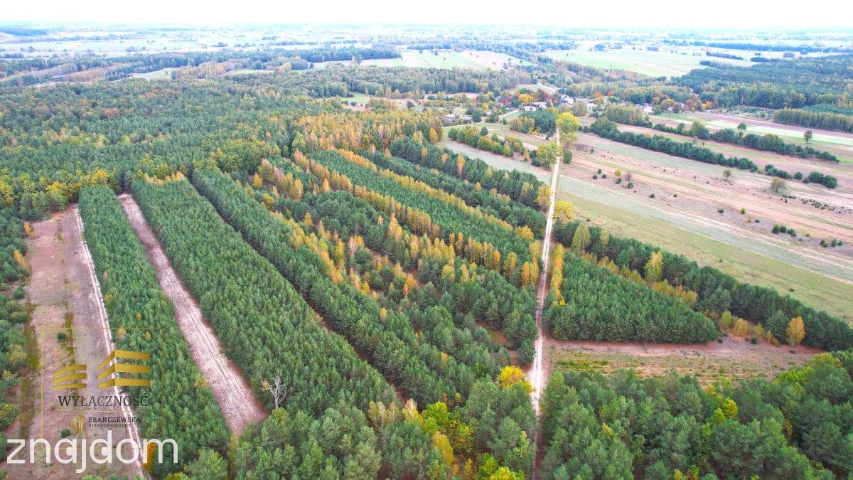 Zalesiona działka nad Firlejem - zdjęcie 3