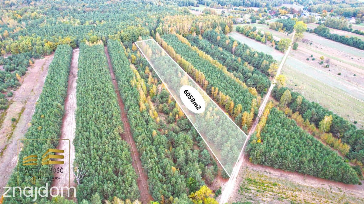 Zalesiona działka nad Firlejem - zdjęcie 2