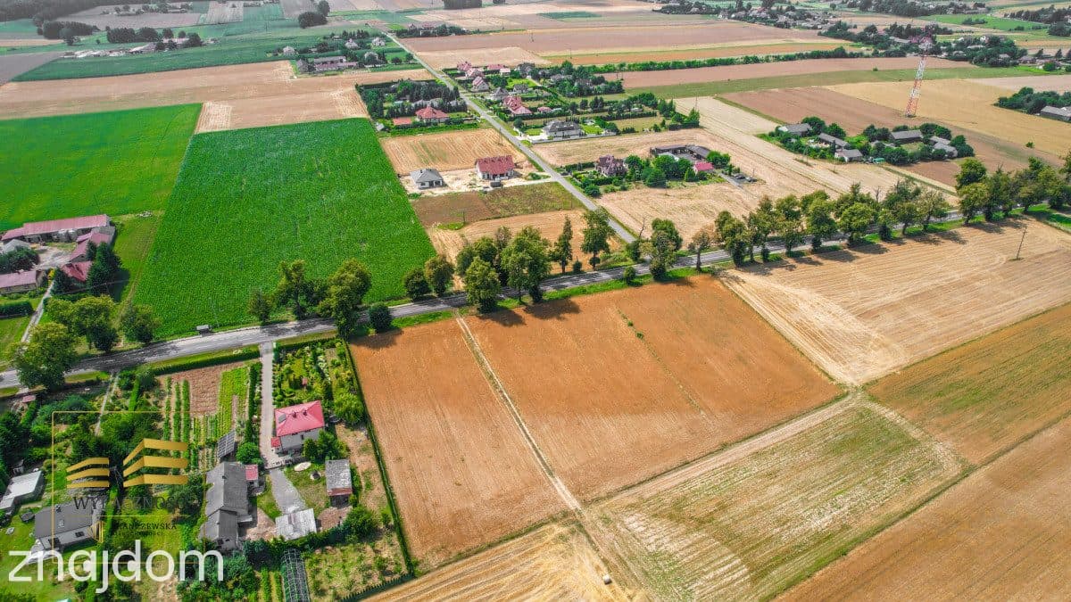 Działka MR w miejscowości Krasienin-Kolonia - zdjęcie 4
