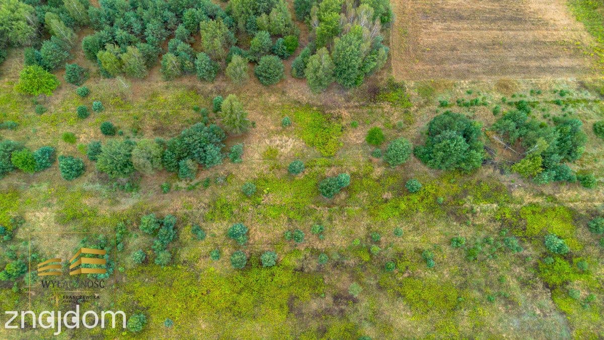Działka pod zabudowę jednorodzinną w Wólce Krasien - zdjęcie 4