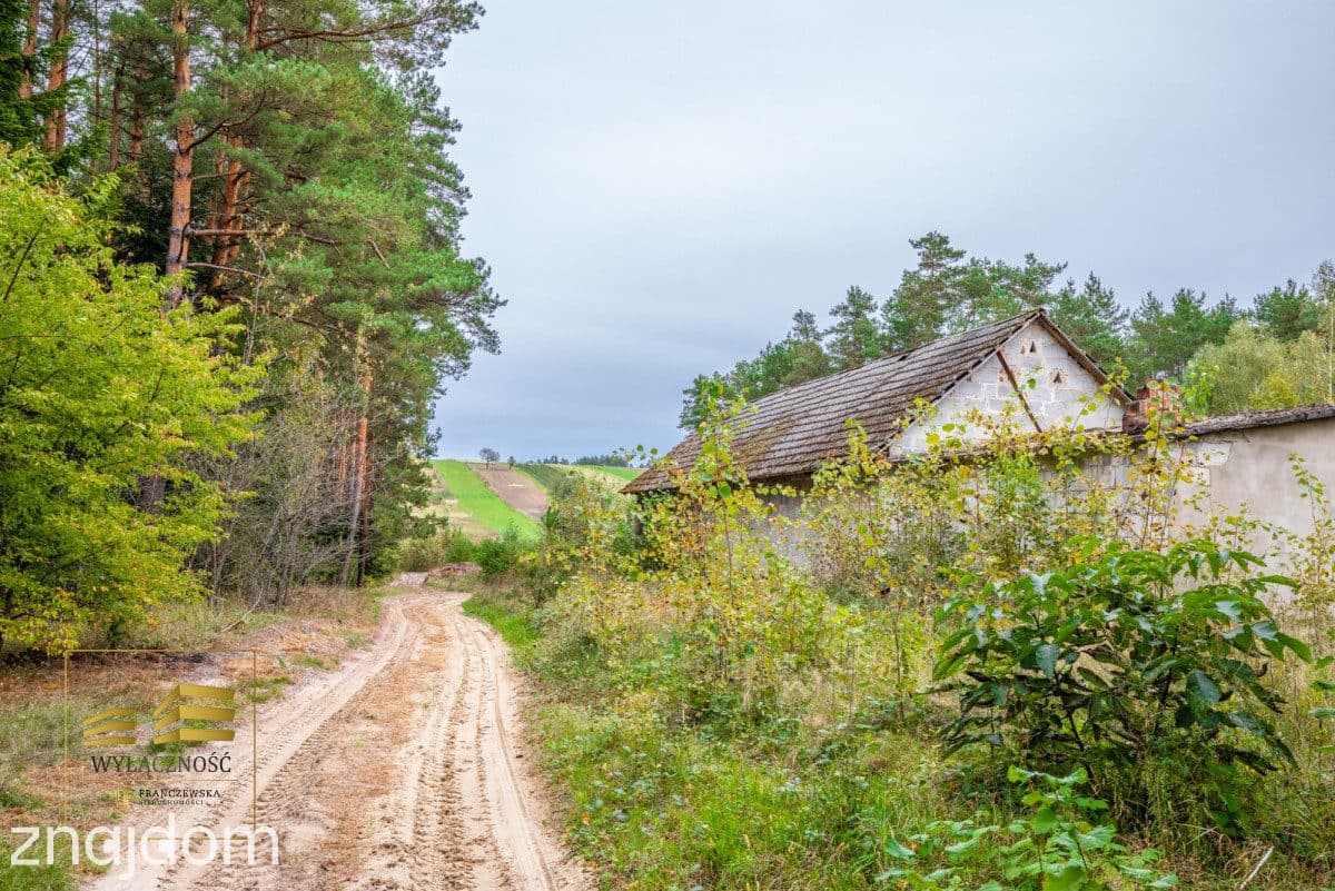 5 ha z domem na Roztoczu - zdjęcie 6