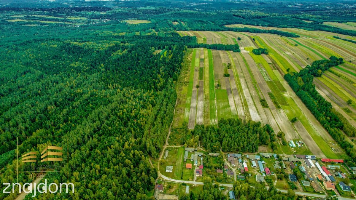 5 ha z domem na Roztoczu - zdjęcie 2