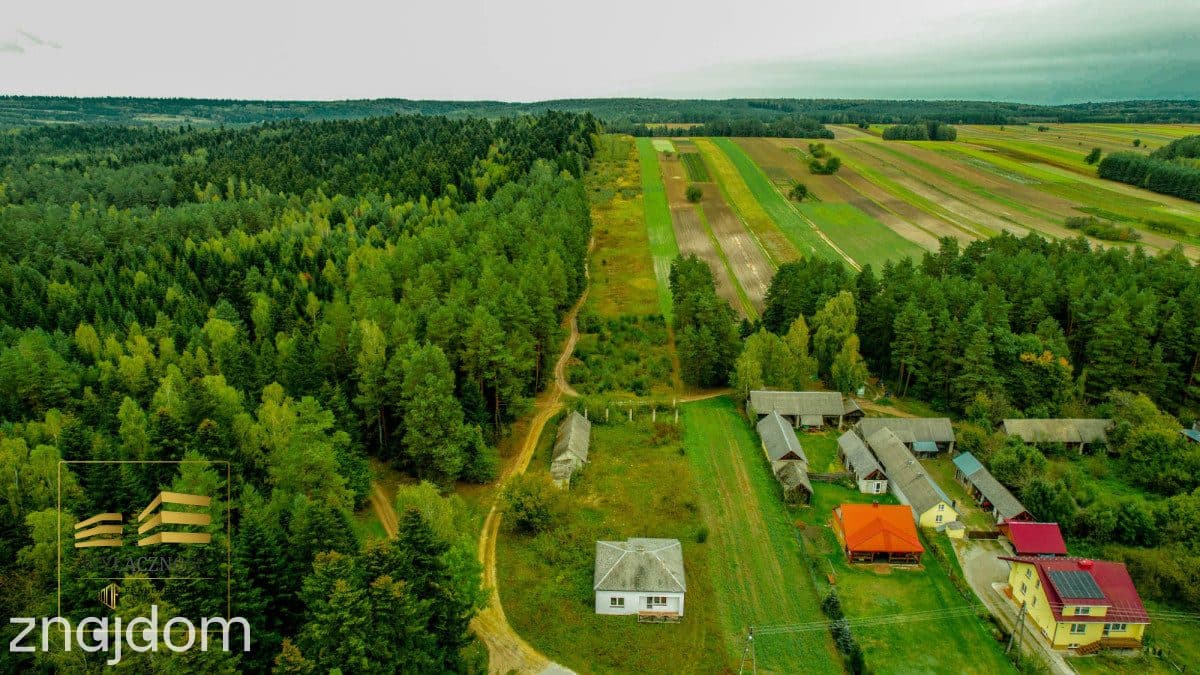 5 ha z domem na Roztoczu - zdjęcie 14