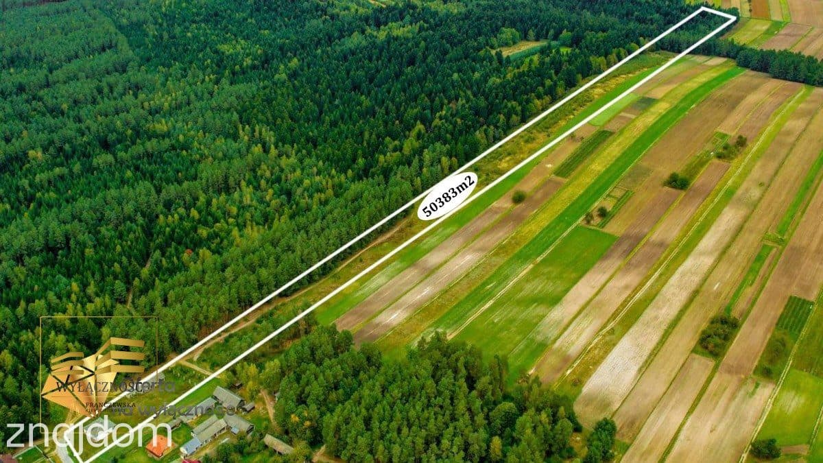 5 ha z domem na Roztoczu - zdjęcie 13