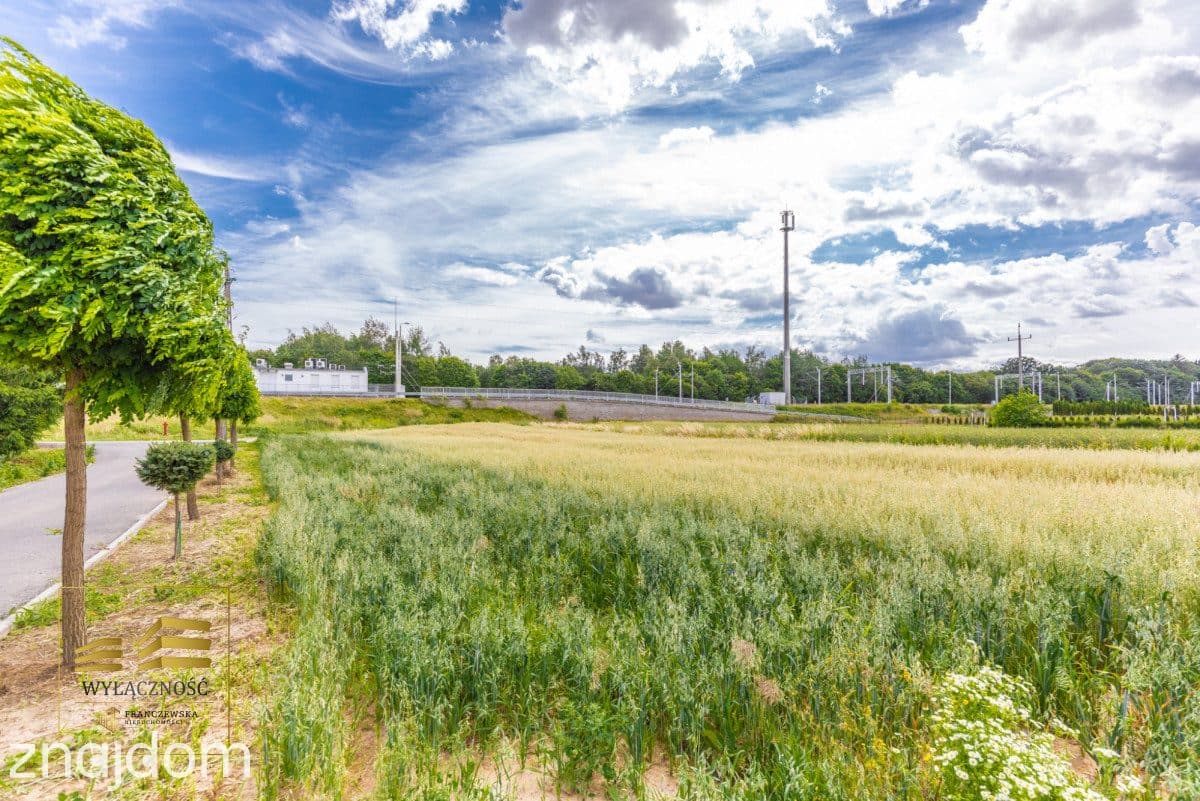 Działka z warunkami zabudowy Kozubszczyzna - zdjęcie 4