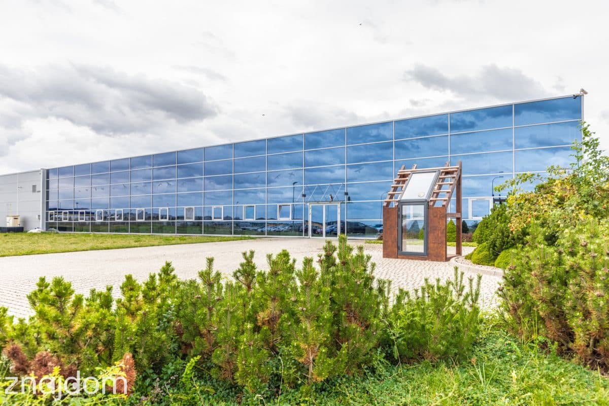 Biuro 170 m² Felin | Brak opłat za ogrzewanie - zdjęcie 6