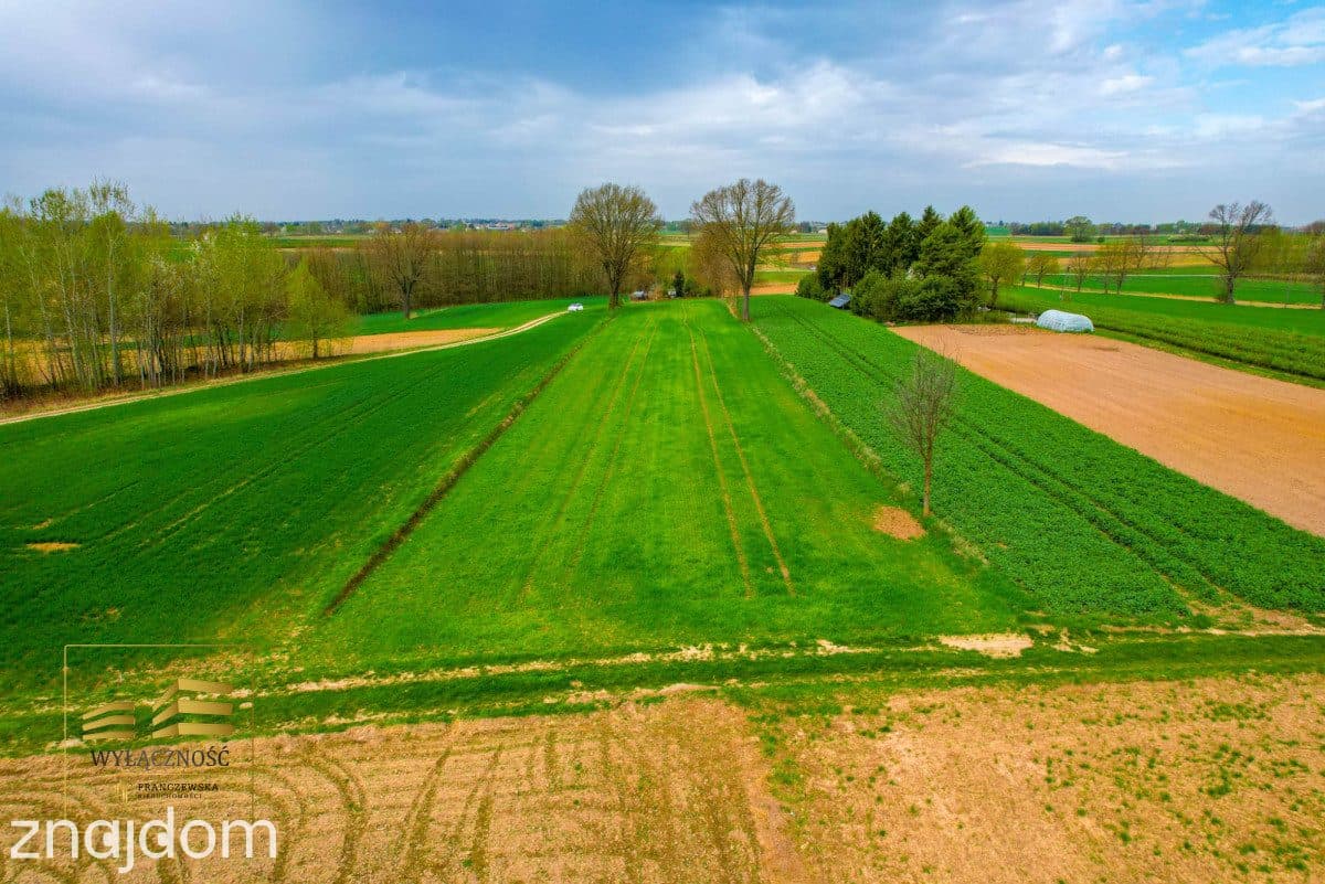 Działka rolna o pow. 3900m2 w Płouszowicach - zdjęcie 4