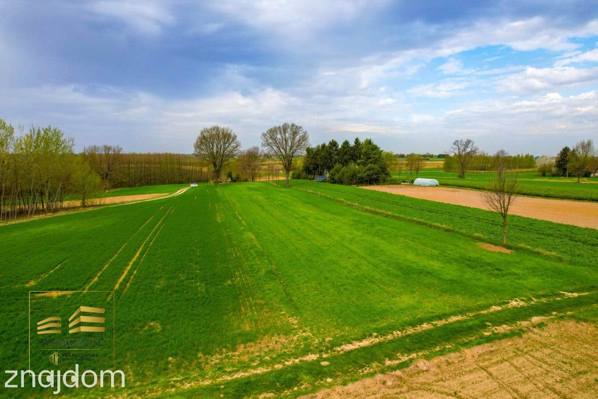 Działka rolna o pow. 3900m2 w Płouszowicach - zdjęcie 2