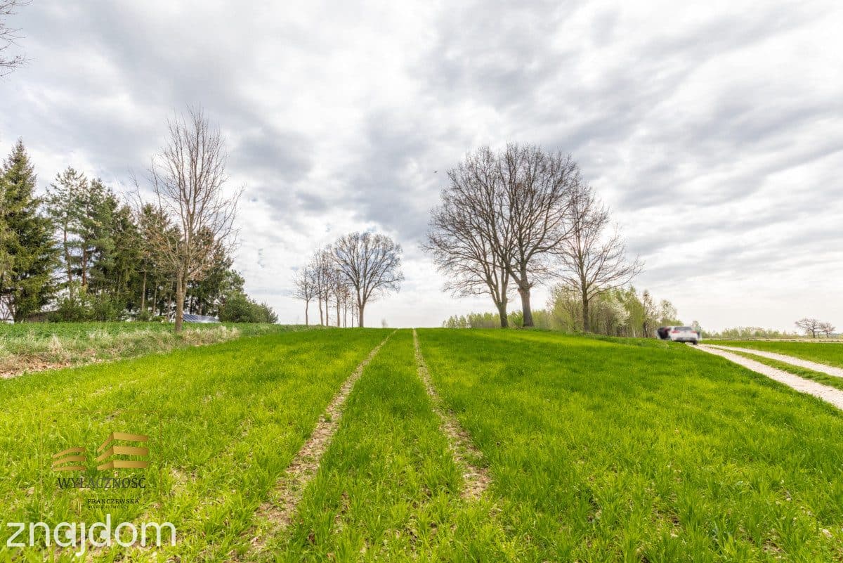Działka rolna o pow. 3900m2 w Płouszowicach - zdjęcie 12