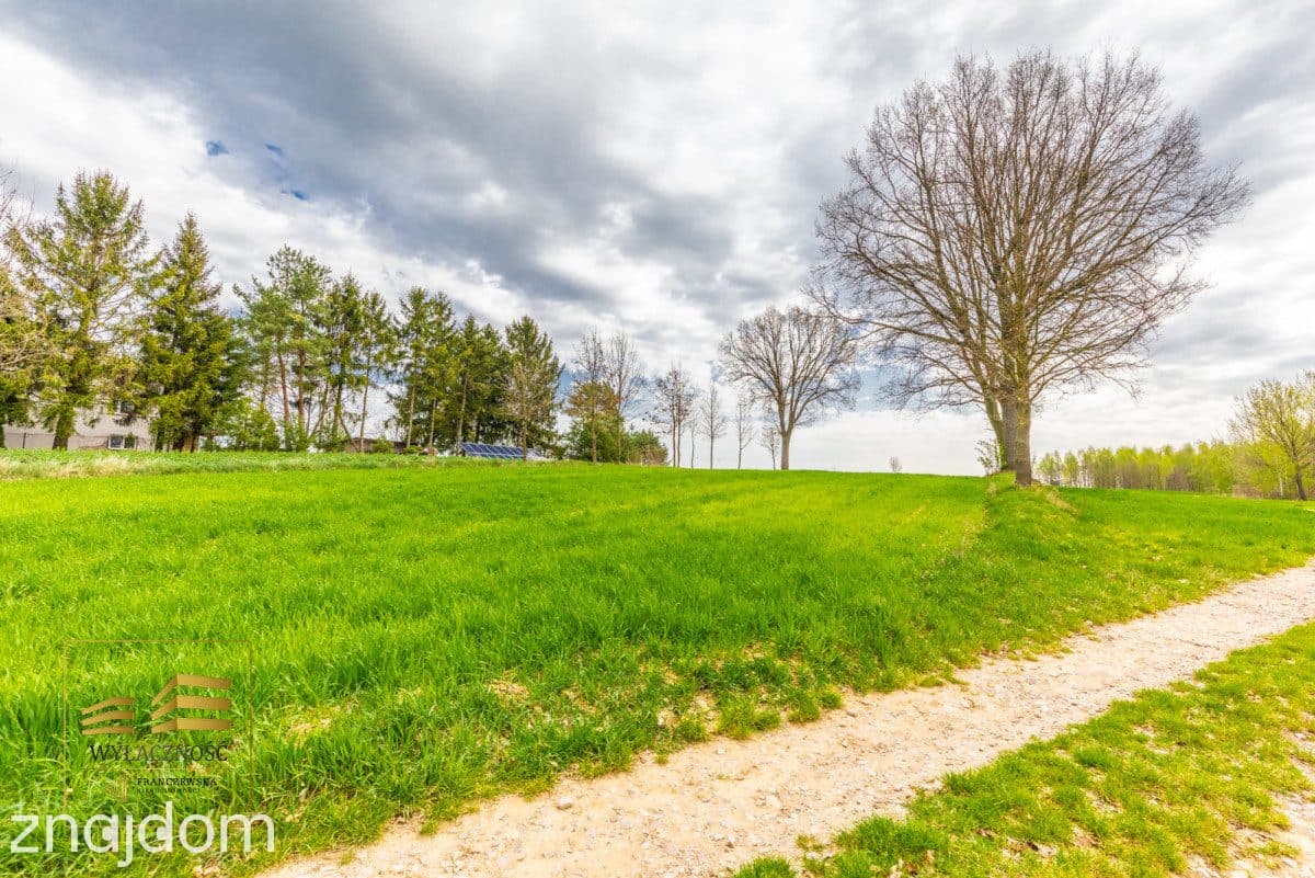 Działka rolna o pow. 3900m2 w Płouszowicach - zdjęcie 13