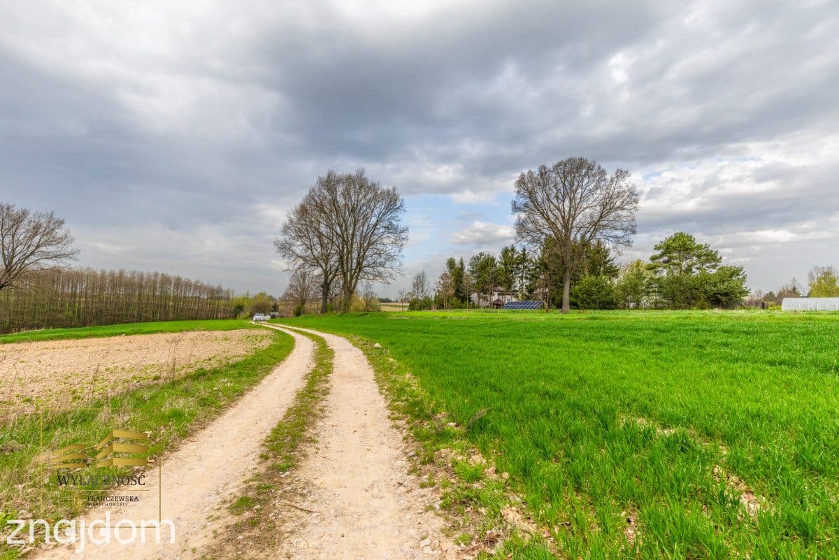 Działka rolna o pow. 3900m2 w Płouszowicach - zdjęcie 14