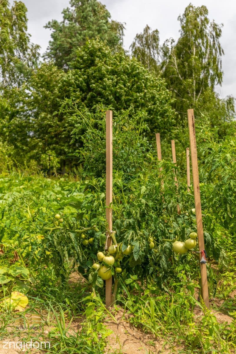 Dom 6 pokoi, garaż 2 auta Jakubowice Kon - Kol - zdjęcie 21