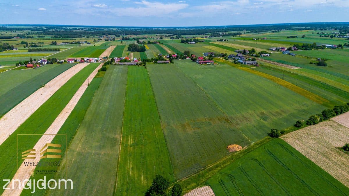 Siedlisko w trakcie wydzielania - zdjęcie 15