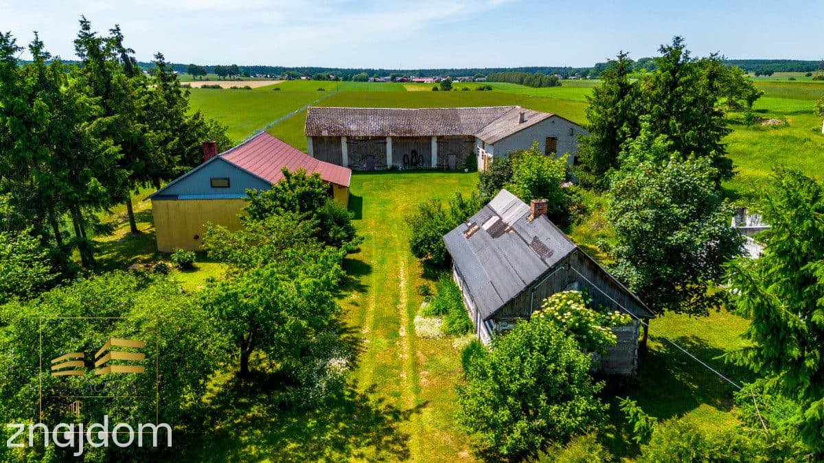 Siedlisko w trakcie wydzielania - zdjęcie 14