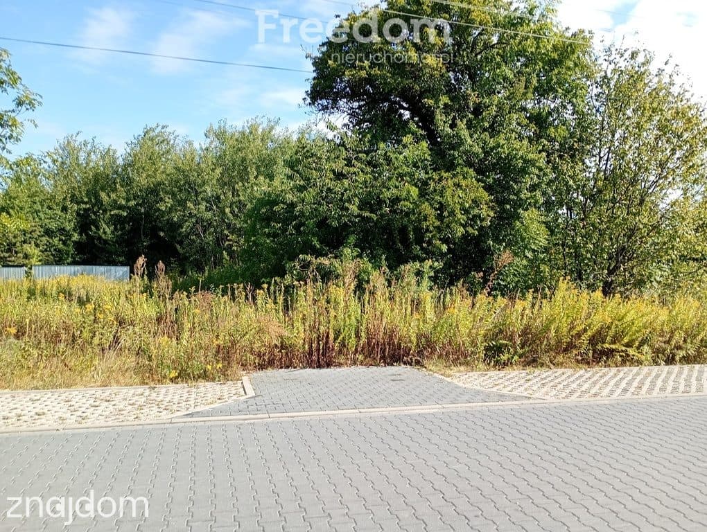 Otwock | 5105 m² | działka z MPZP i mediami. - zdjęcie 11