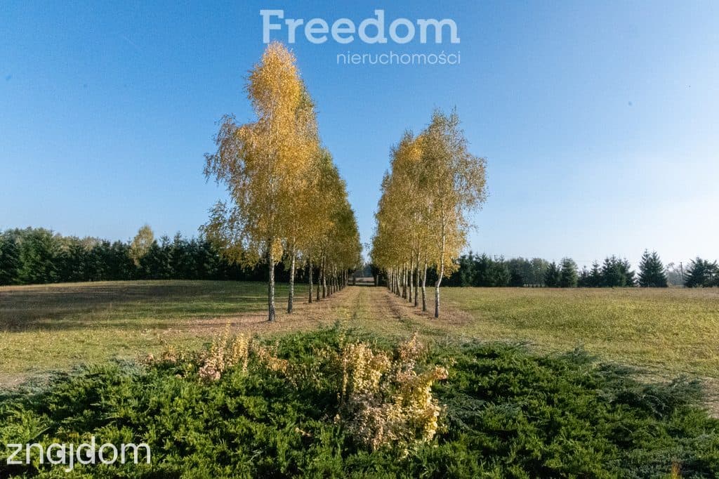 Dworek z dużą działką blisko lasu i jeziora - zdjęcie 9
