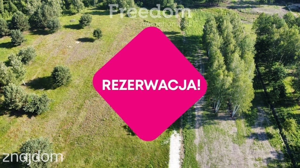 Stare Budy Radziejowskie- działka z prądem. - zdjęcie 3