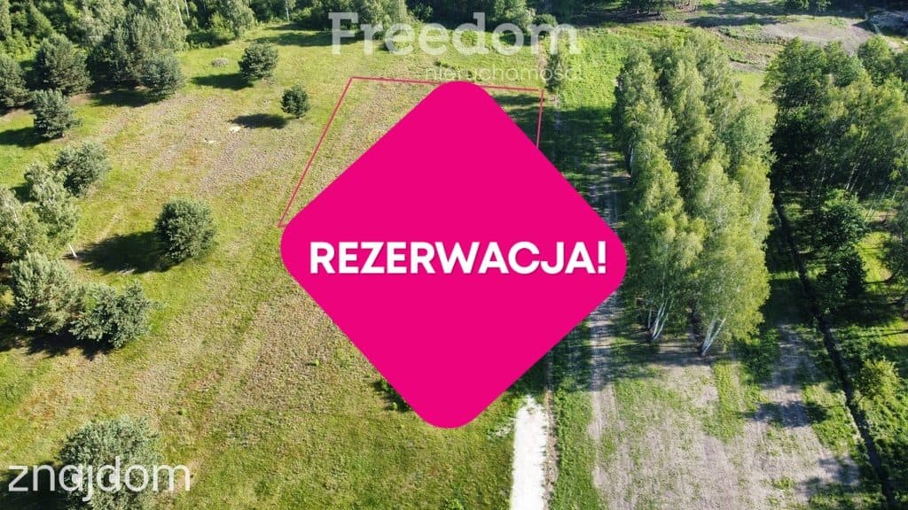 Stare Budy Radziejowskie- działka z prądem. - zdjęcie 4