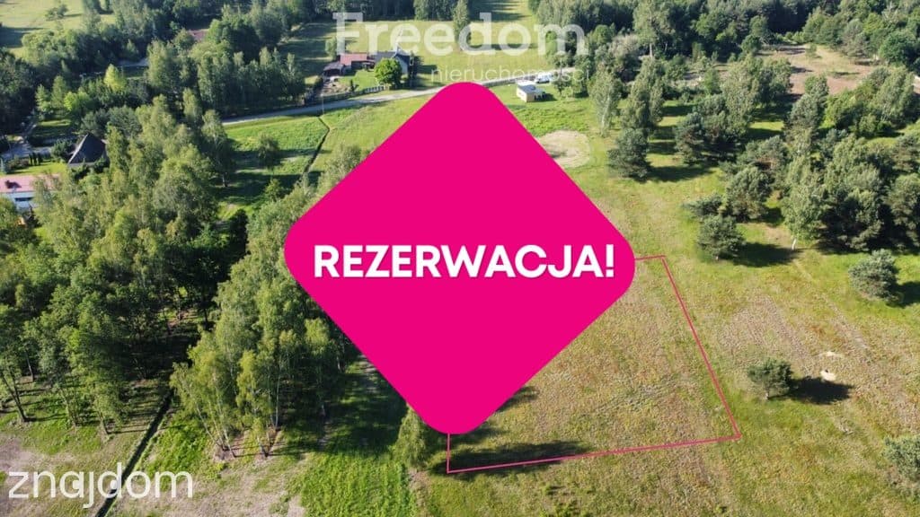 Stare Budy Radziejowskie- działka z prądem. - zdjęcie 6