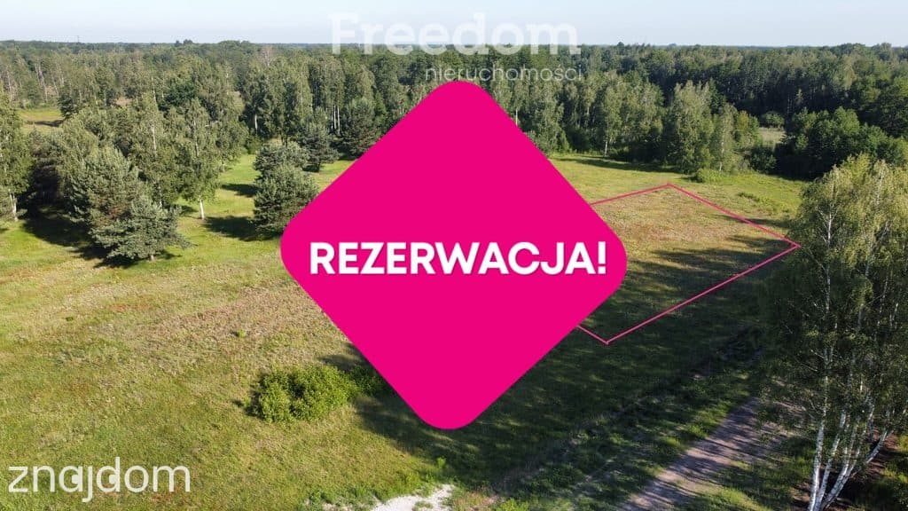 Stare Budy Radziejowskie- działka z prądem. - zdjęcie 2