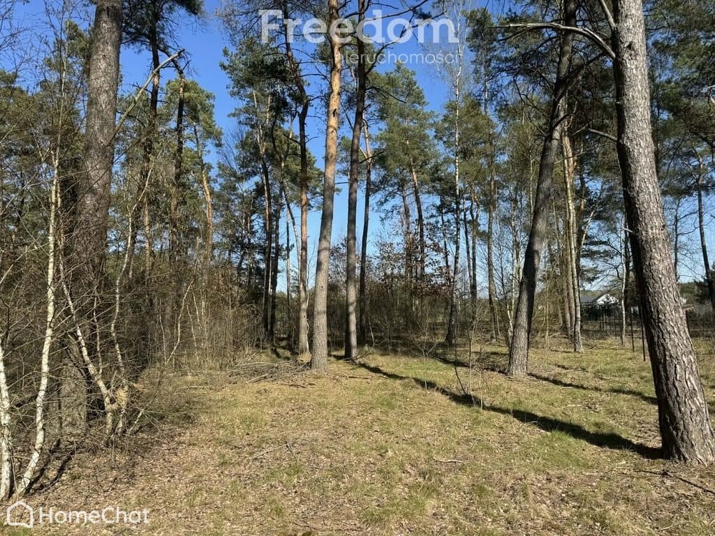 Działka budowlana z lasem z warunkami