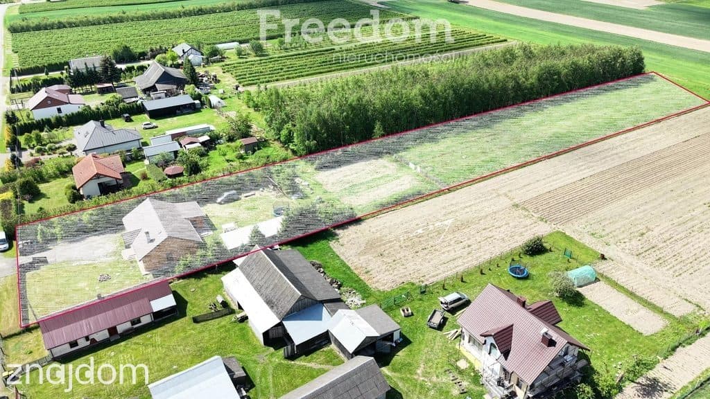 6letni dom z działką w spokojnej okolicy - zdjęcie 20